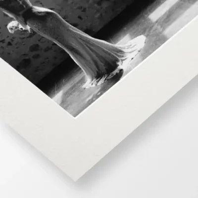 Papier Fine Art